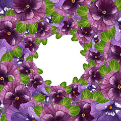 Pansies. Summer delicate flowers of burgundy and purple. Pansy square frame. Watercolor illustration on isolated white background.