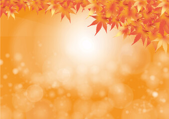 Fototapeta premium 秋