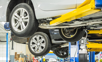 Modern Cars on Automotive Lifts In an Auto Service