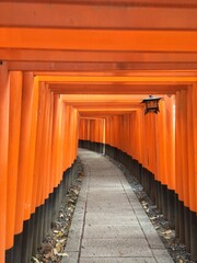 Fototapeta premium Fushimi Inari Shrine