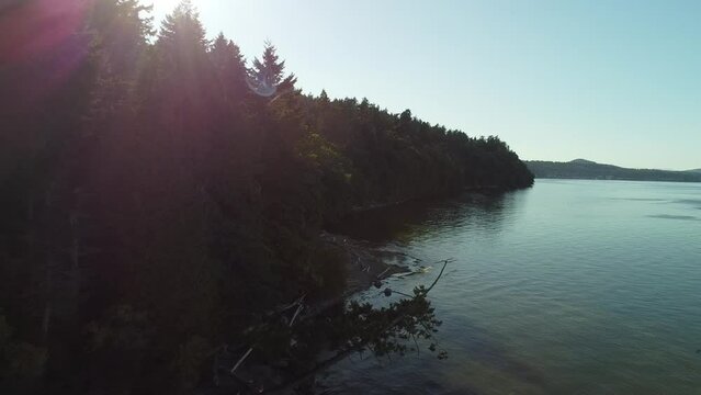 fog over the river
