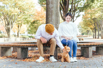 公園で愛犬の散歩をする男女
