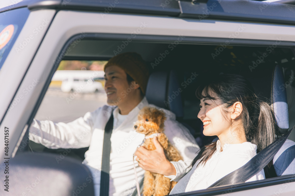 Sticker 車でお出かけする犬と男女（車内）
