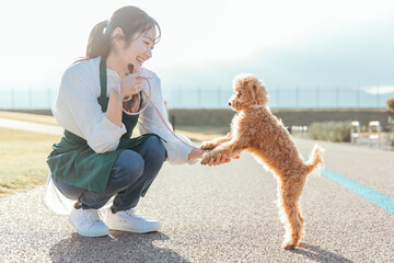 愛犬と遊ぶエプロン姿の女性（道路）  © buritora