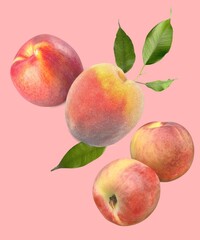 Fresh Peach fruit on a colour background