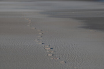 Sandy footprints 3