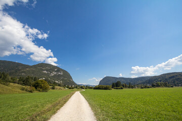 Typical alpine agricultural landscape with grasslands and meadow fiels in a mountain glade in...