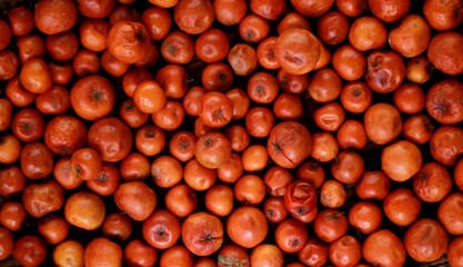 Bunch of sweet pickle for sale in market, sweet pickle background, wallpaper of fruit