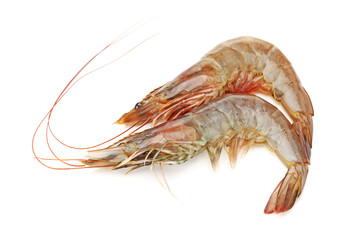 shrimp isolated on white background