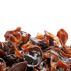 black fungus on white background