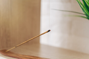Smoldering incense on wooden stand in front of house plant.