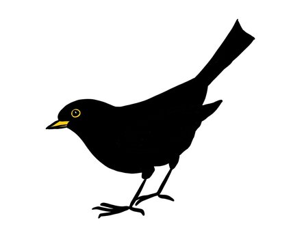 recommend clip art: blackbird