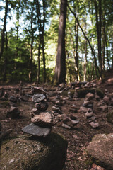 stone stacks in the woods Harz Germany