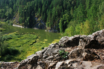 Rock on the bank of the river