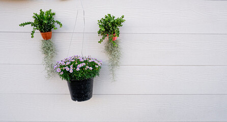 photo of spring blossoms on the old wooden floor.