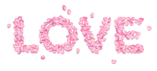 LOVE typography from realistic rose petals isolated on white background. Pink voluminous sakura petals. Romantic inscription for greeting card Valentine's Day, March 8, wedding invitation.