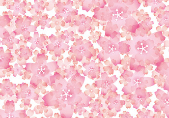 桜　背景