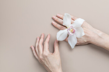 Female hands with orchid flower on beige background. Women's health and care concept.