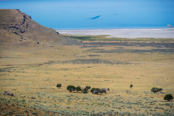 An overlooking view of nature in Antelope Island State Park, Utah