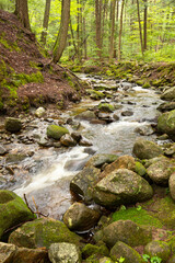 Naklejka na ściany i meble Kidder Brook flowing through dense woods in Sunapee, New Hampshire.
