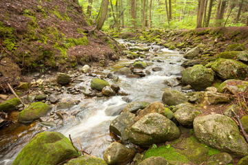 Kidder Brook flowing through dense woods in Sunapee, New Hampshire.