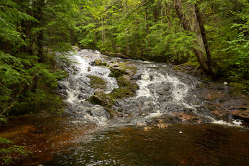 Kidder Falls in the woods of Sunapee, New Hampshire.