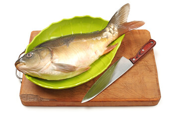 Raw fish carp on white background 