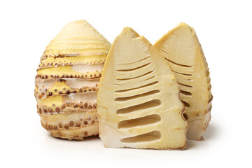 Bamboo shoot on the white background 