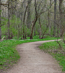 539-54 Wildflowers Along the Trail at Harrison State Park