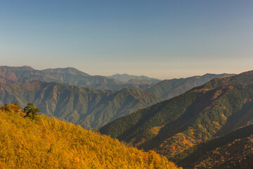 山の景色