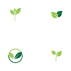 Logos of green Tree leaf ecology nature element vector