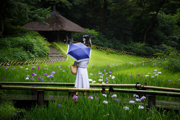 雨の散策
