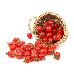 tomatoes in a basket