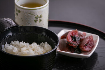 ご飯と梅漬け　Japanese meal