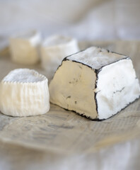 Various types of cheese with white mold on packaging paper.