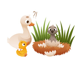 Newly hatched swan in egg. Ugly duckling fairy tale cartoon vector illustration