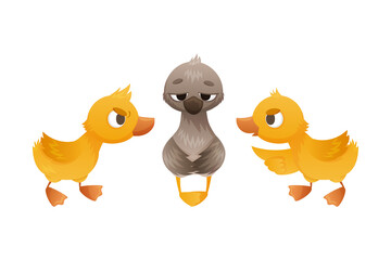 Goslings teasing duckling. Ugly duckling fairy tale cartoon vector illustration - obrazy, fototapety, plakaty