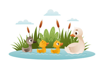 Goose family. Mom floating with her babyies. Ugly duckling fairy tale cartoon vector illustration - obrazy, fototapety, plakaty