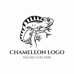 Obraz premium Chameleon logo
