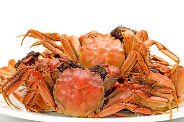 Cooked river crab isolated in white background