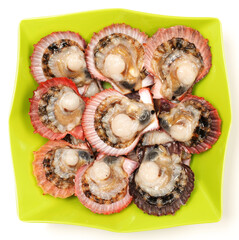 Raw scallop on white background