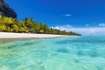 Belle plage du Morne avec palmiers de la mer tropicale de l& 39 île Maurice.