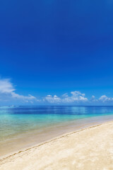 Tropical white sand beach, blue sky and the turquoise sea on Caribbean island.	