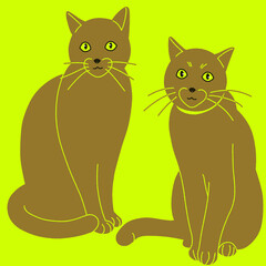 可愛い２匹の猫のシンプルなイラスト