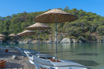Beach umbrellas and beachside loungers