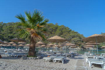 Beach umbrellas, sun loungers and beachfront palm trees