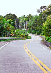The asphalt road in the jungle with a yellow marking line