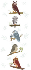 Owl cute set