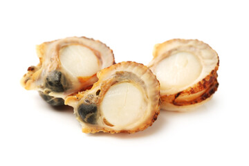 Raw scallop on white background