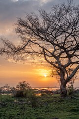 beautiful African landscape at sunset (Kenya Africa)